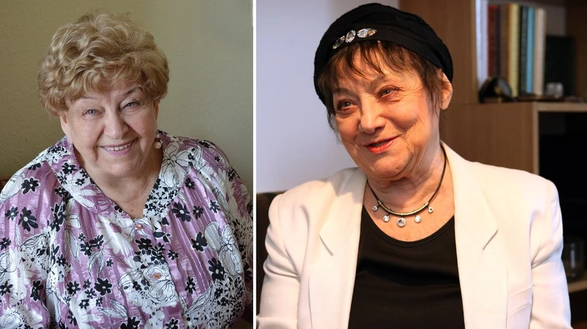 csuros_pasztor_nyito