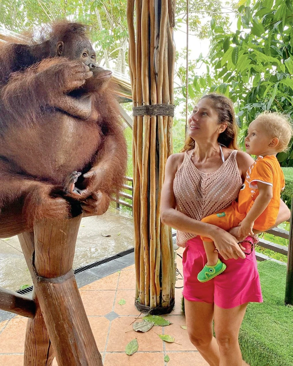 Alexet lenyűgözték az orangutánok (Fotó: Archív)