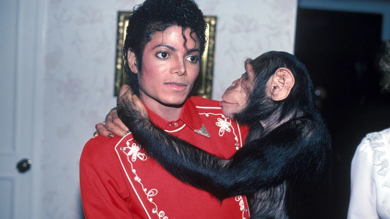 Mi lett Michael Jackson híres csimpánzával? Bubbles ma már őszülő „öregúr”