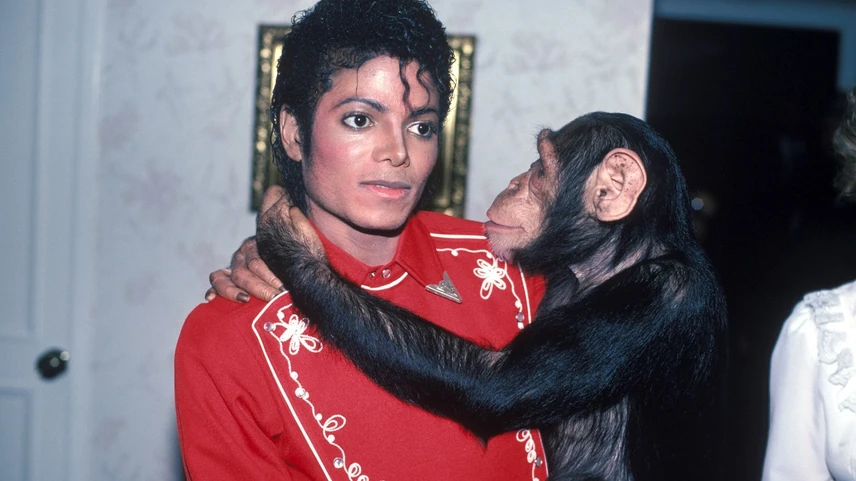 Michael Jackson és Bubbles a nyolcvanas években