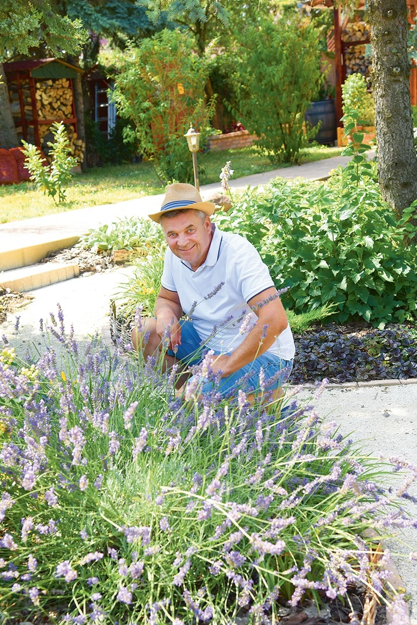 A levendulákból Péter kedvese gyönyörű ékszereket készít, a finom illat pedig körbelengi a házat
