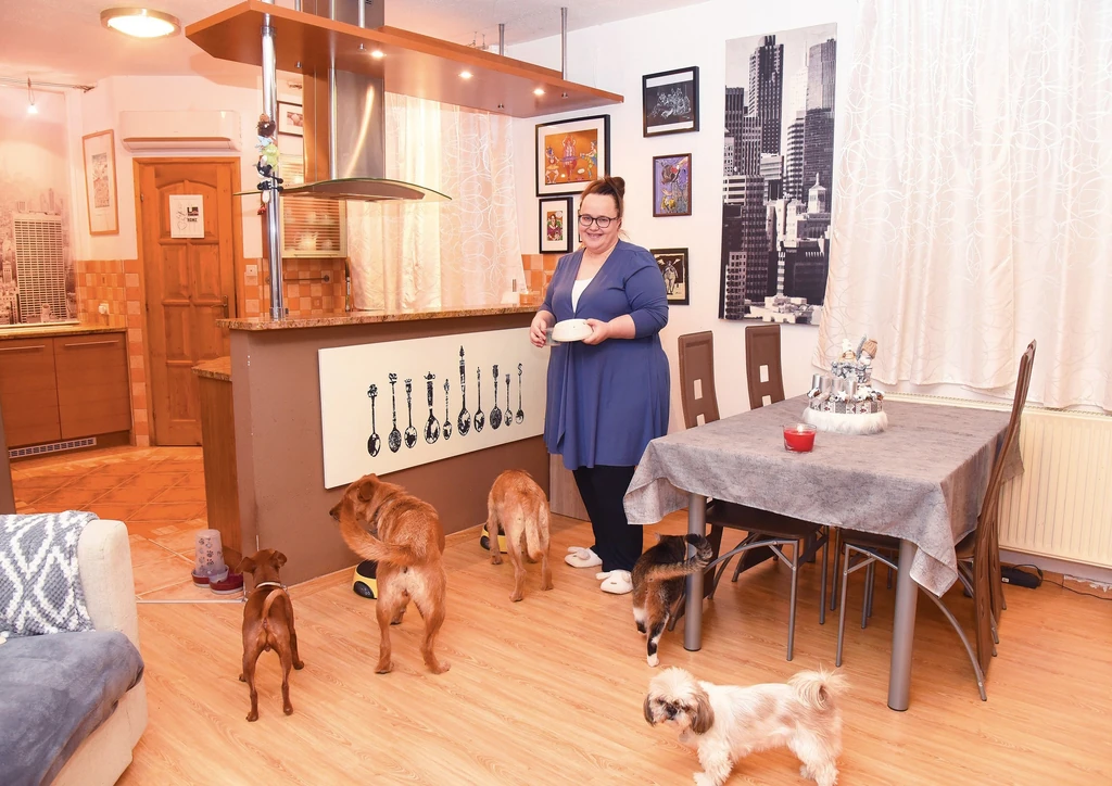 A színésznő és házi kedvencei Andi otthonában (Fotó: Olajos Piroska/fotocentral.hu)