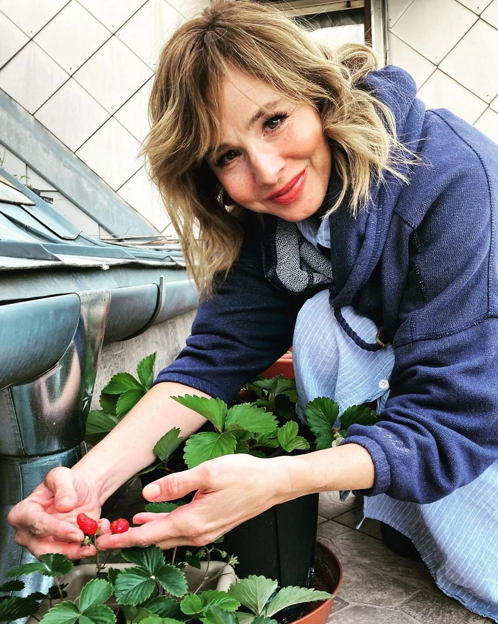 A balkonon nevelt eprei meghálálják a gondoskodást (Fotó: Archív)