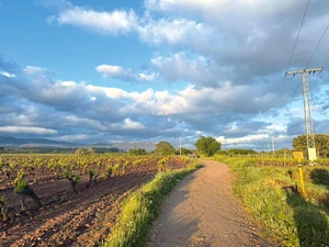 Gyarmati Gábor az El Caminón