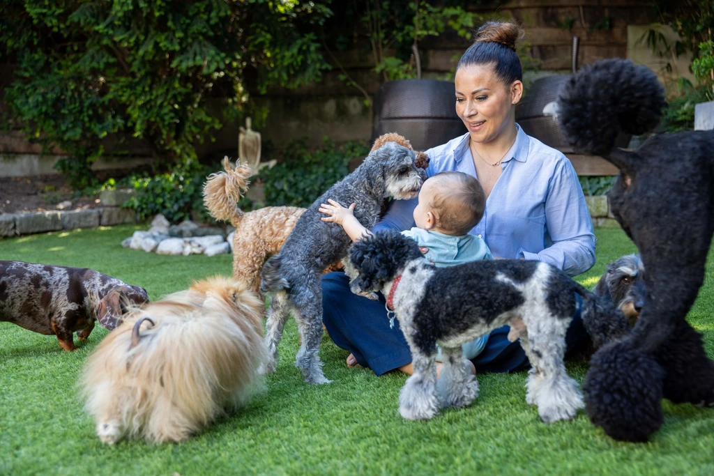 Noel nagy kedvencei azok a négylábúak, akik egymagasak vele