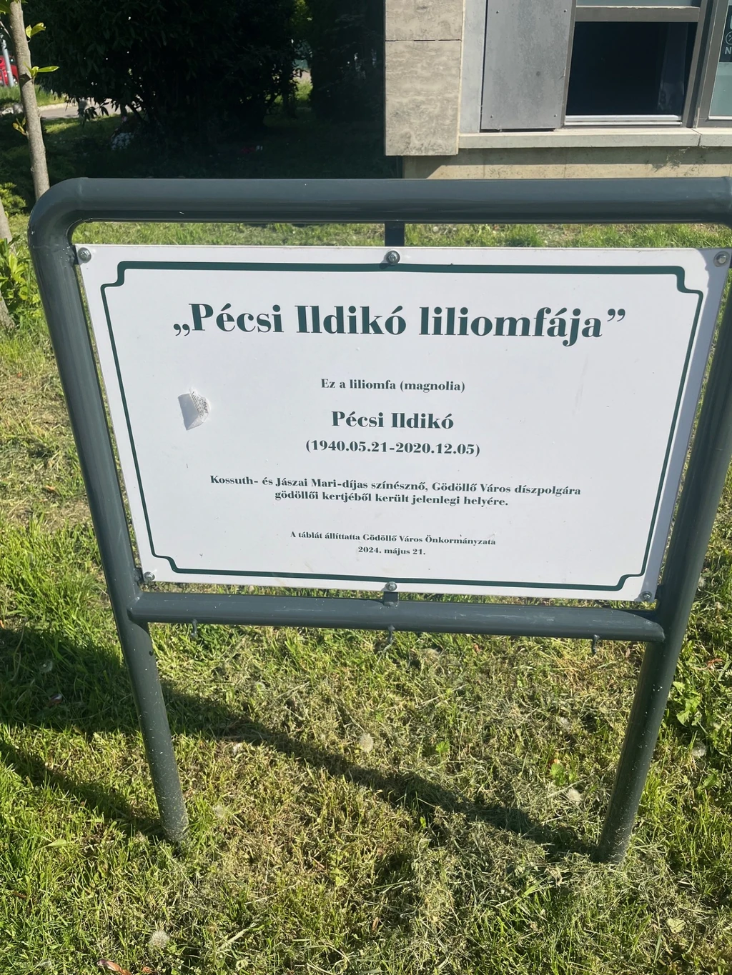 Pecsi Ildiko faja3
