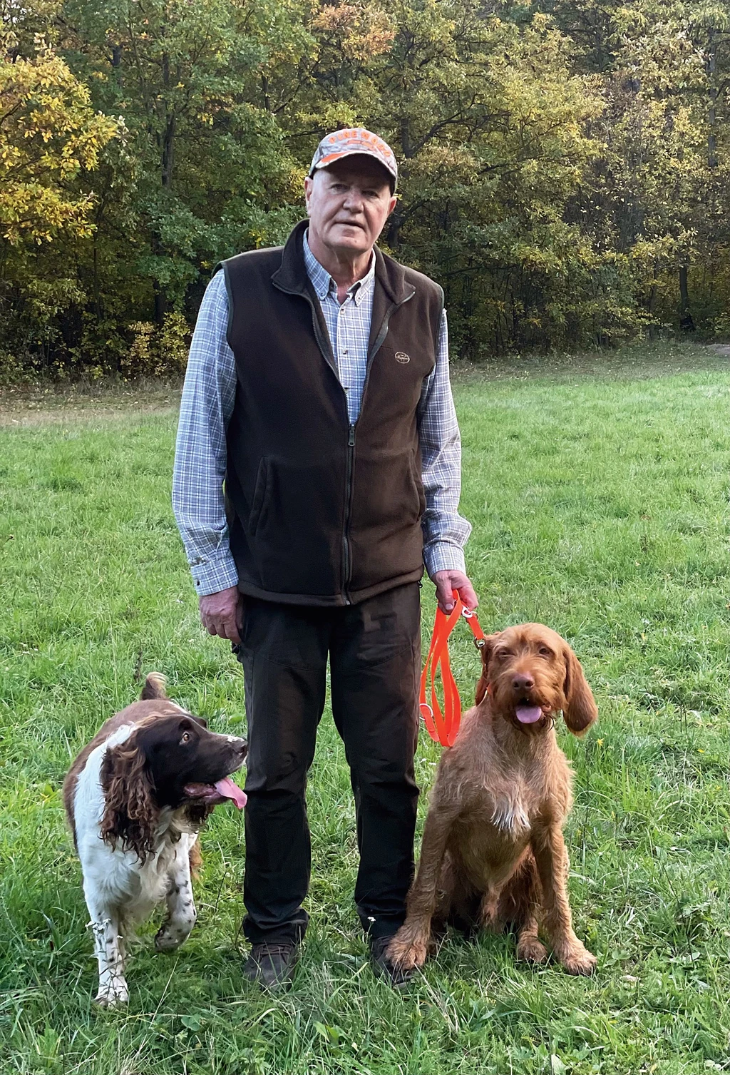 Reggelente a kutyáival megy az erdőbe sétálni (Fotó: Archív)