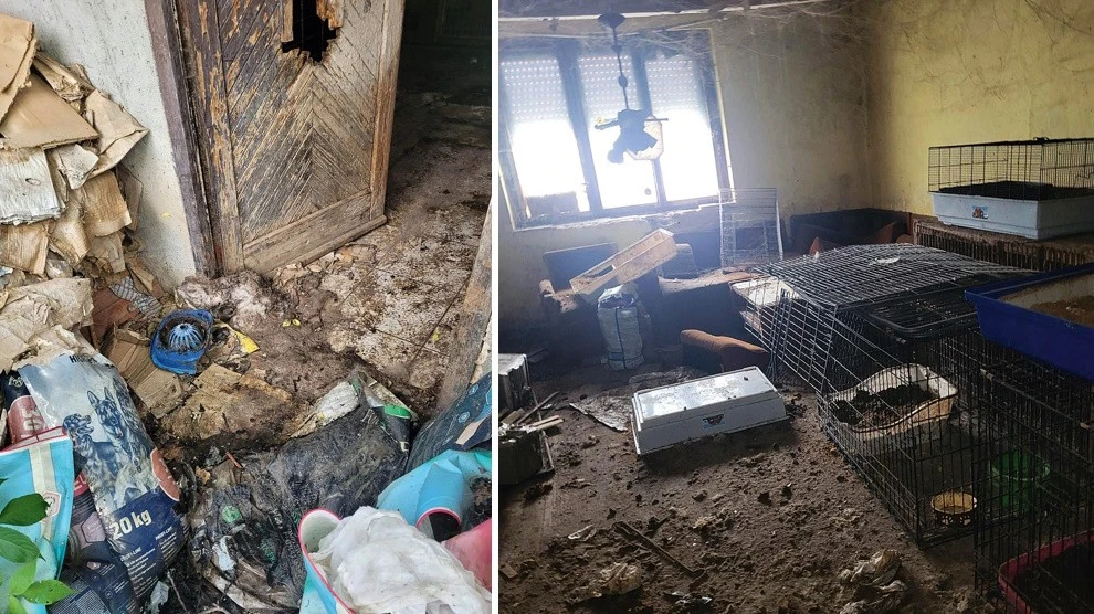 Évekig áradt innen az elviselhetetlen bűz (Fotók: Archív)