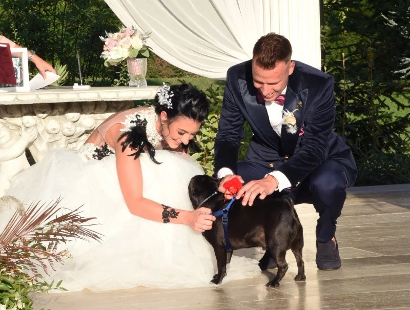 Szandra és Gyuri augusztusi esküvőjén kiskutyájuk, Noir volt a gyűrűhordó (Fotó: Olajos Piroska)