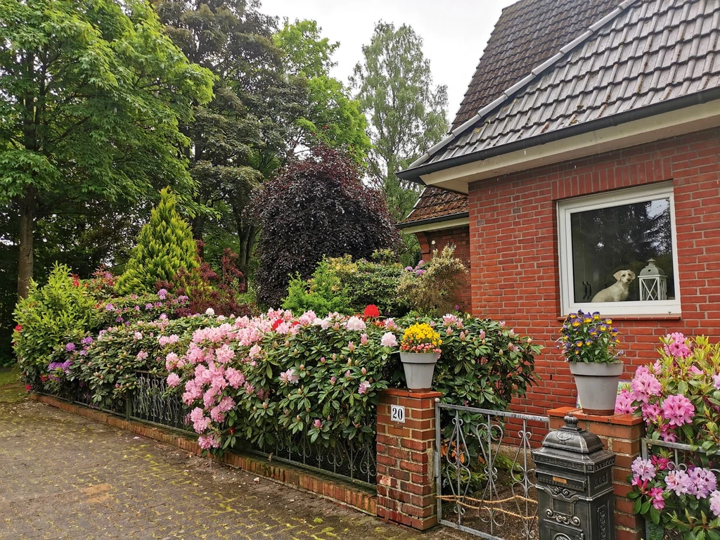 Palotás Petra hamburgi otthona