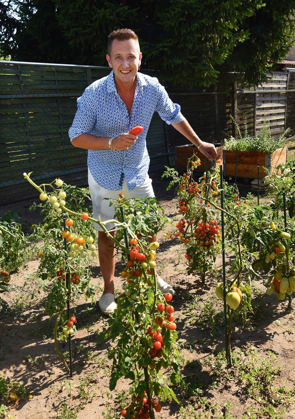 Imádja a kertjét és saját termesztésű paradicsomát