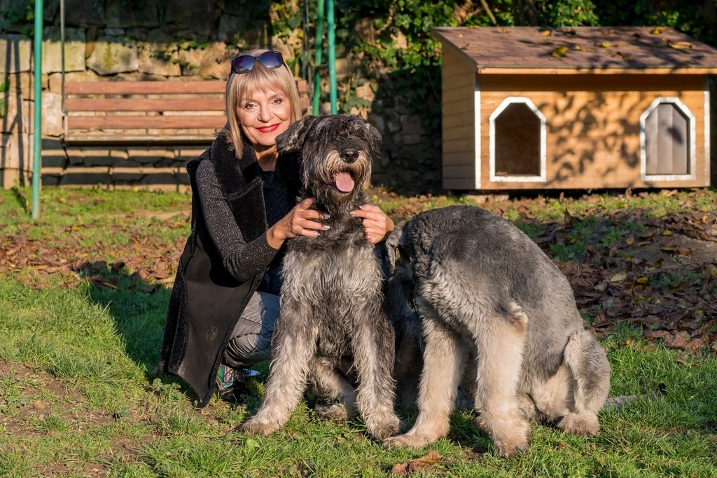 Szily Nóra imádott kutyáival Csobánkán él (Fotó: Schumy Csaba/fotocentral.hu)