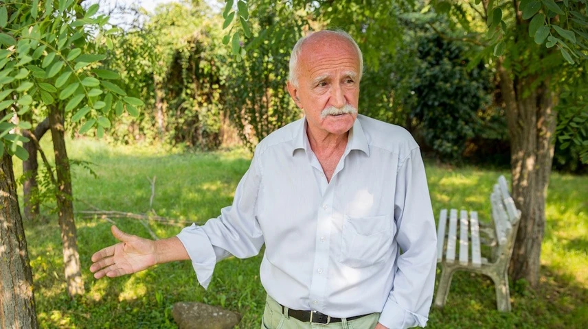 koltai janos