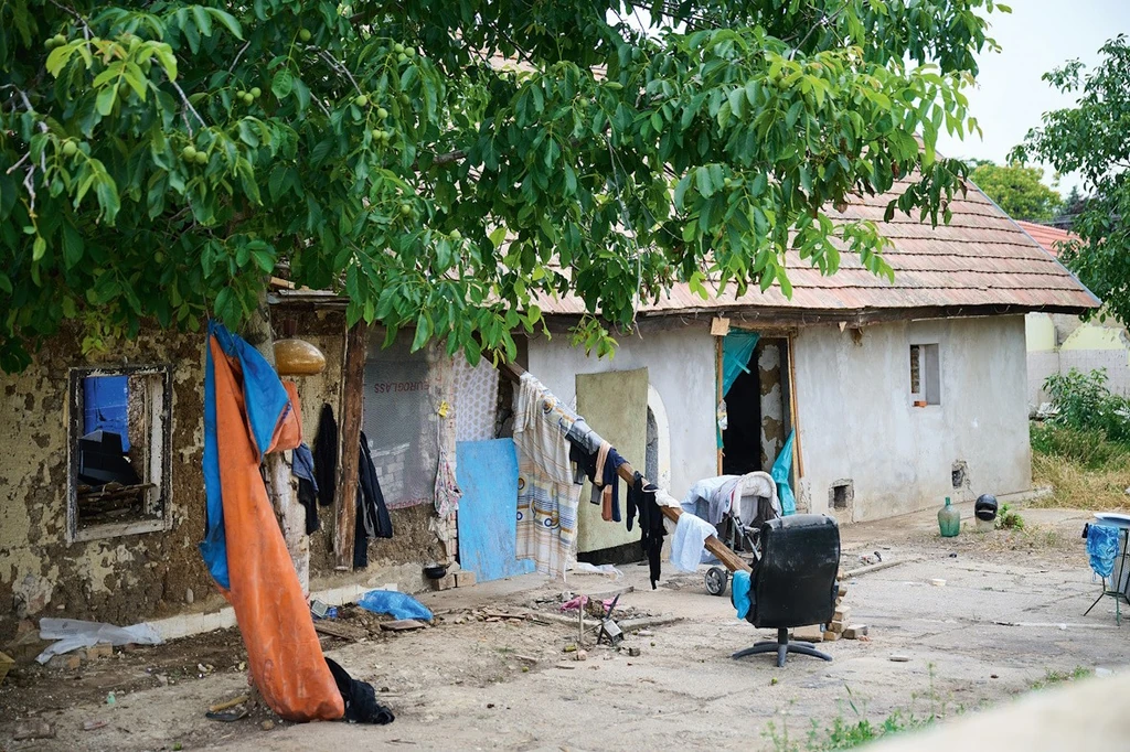 Az állatok helyét idegenek vették át (Fotó: Schumy Csaba/fotocentral.hu)
