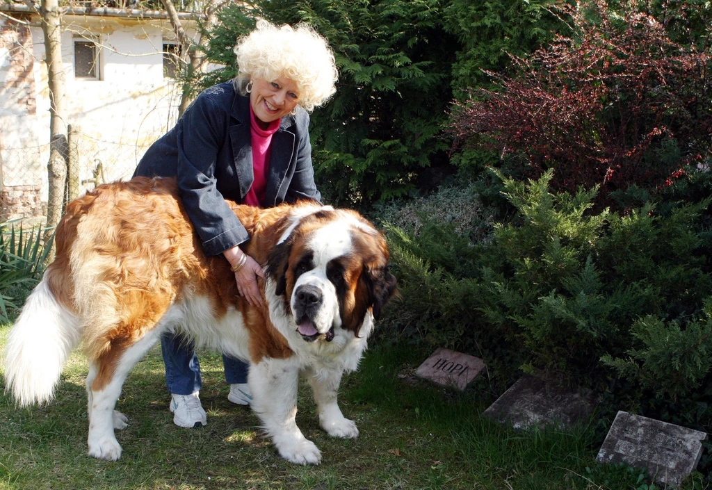 Kutyáit a gyermekeiként szerette a művésznő (Fotó: Gálos Mihály Samu)