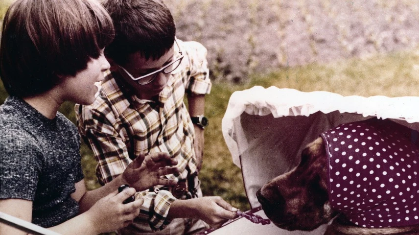 kemenykalap_krumpliorr_nyito