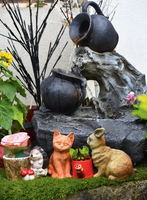 zsadon andrea szolnoki tibor 2