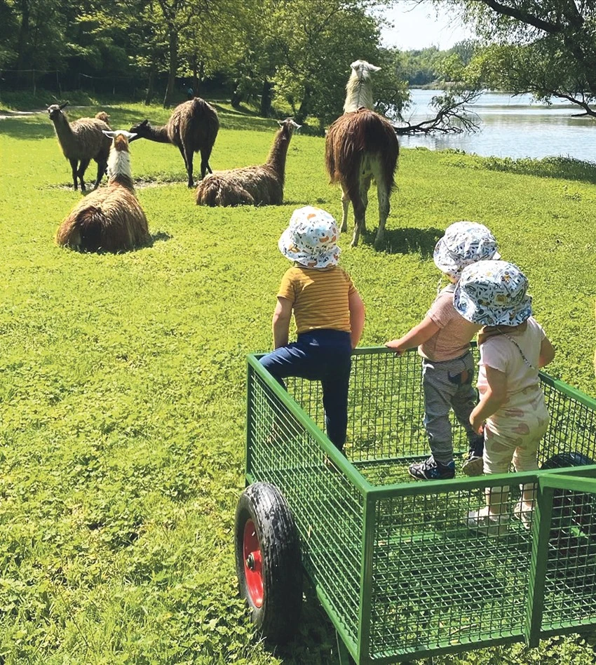 Három örökmozgó gyerek nem kis kihívás (Fotó: Archív)