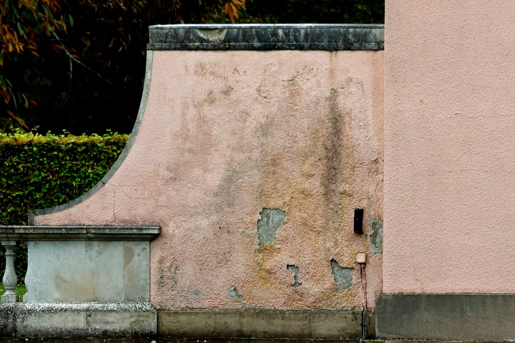 A feketepenész az egészségre is káros (Fotó: Profimedia)