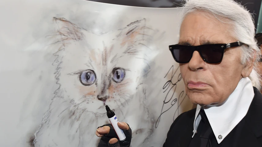 Karl Lagerfeld cicája az egyik leggazdagabb állat a világon