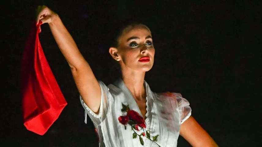 Sydney van den Bosch